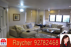 Mar Thoma Mansions (D12), Apartment #68930302